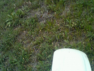 �W�O�����ƂT�O����������