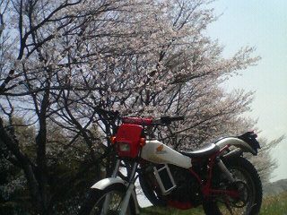 �W�O�����ƂT�O����������