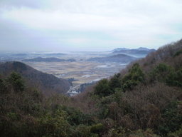 �����R�̂��₶�̂Ԃ₫