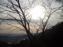 �����R�̂��₶�̂Ԃ₫