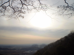 �����R�̂��₶�̂Ԃ₫