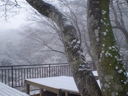 �����R�̂��₶�̂Ԃ₫