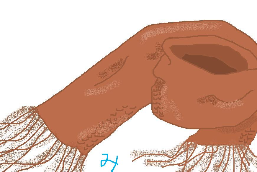 �����R�̂��₶�̂Ԃ₫