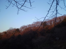 �����R�̂��₶�̂Ԃ₫