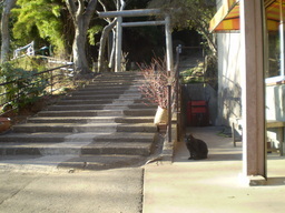 �����R�̂��₶�̂Ԃ₫