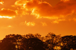 �����R�̂��₶�̂Ԃ₫