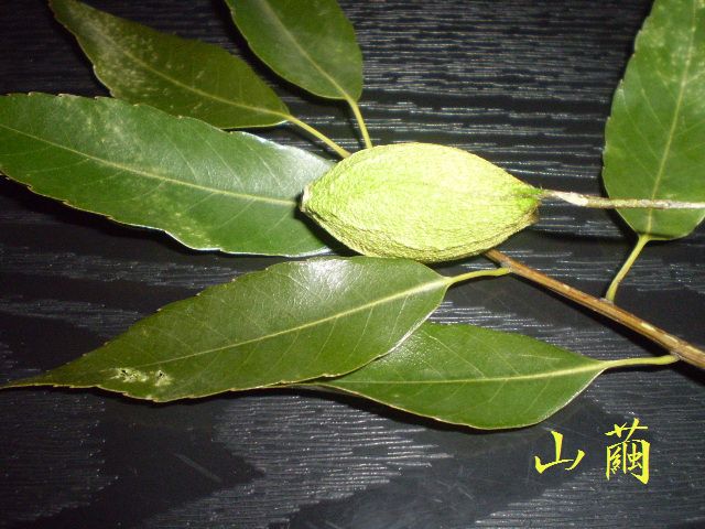 �����R�̂��₶�̂Ԃ₫