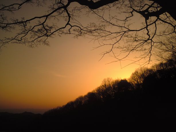 �����R�̂��₶�̂Ԃ₫