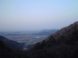 �����R�̂��₶�̂Ԃ₫