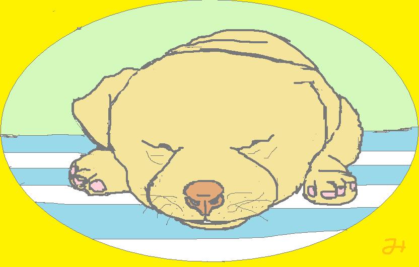 �����R�̂��₶�̂Ԃ₫