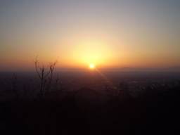 �����R�̂��₶�̂Ԃ₫