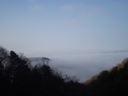 �����R�̂��₶�̂Ԃ₫