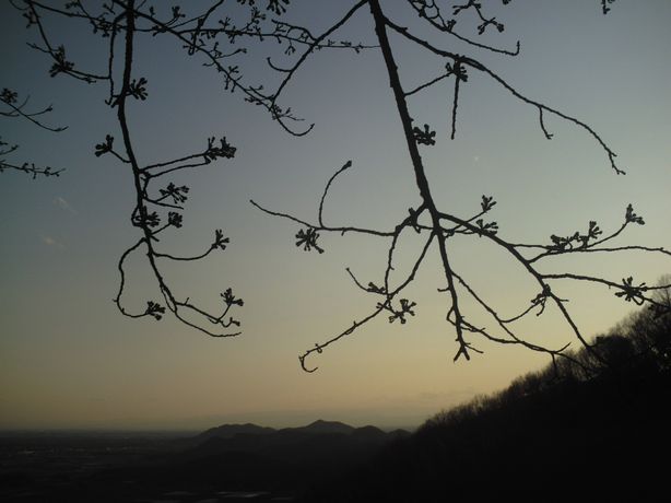 �����R�̂��₶�̂Ԃ₫