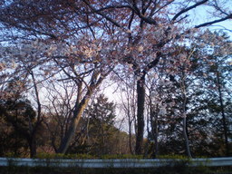 �����R�̂��₶�̂Ԃ₫