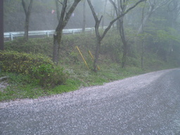 �����R�̂��₶�̂Ԃ₫