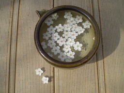 �����R�̂��₶�̂Ԃ₫