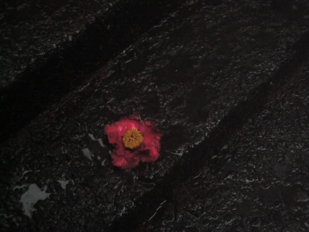 �����R�̂��₶�̂Ԃ₫