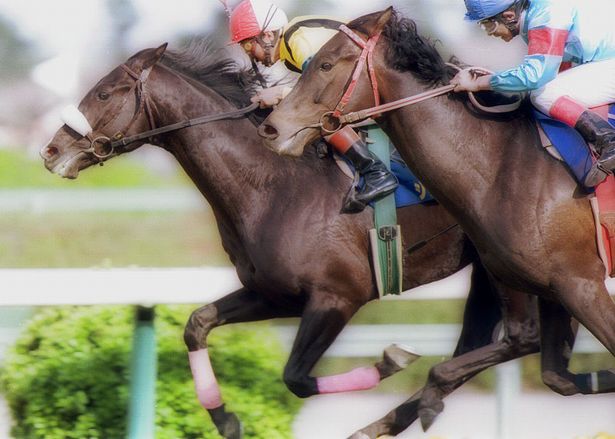 �����R�̂��₶�̂Ԃ₫