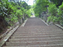 �����R�̂��₶�̂Ԃ₫