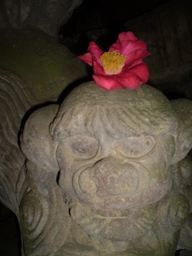 �����R�̂��₶�̂Ԃ₫