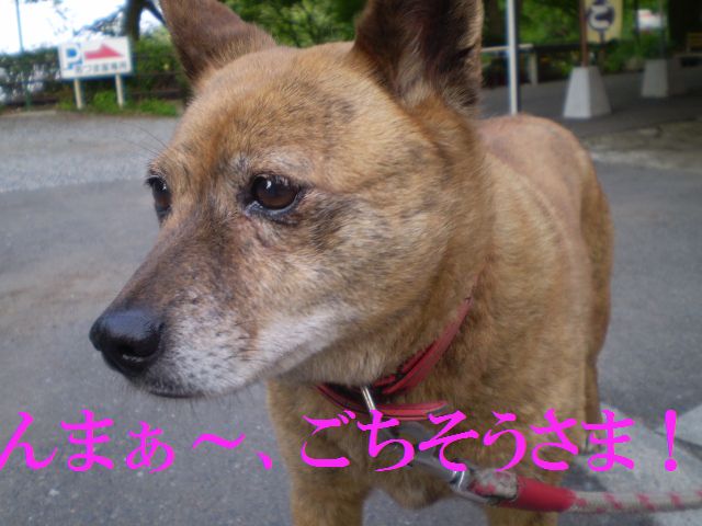 �����R�̂��₶�̂Ԃ₫