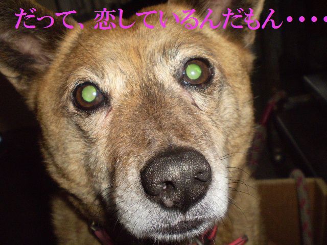 �����R�̂��₶�̂Ԃ₫