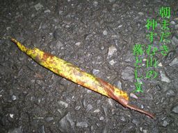 �����R�̂��₶�̂Ԃ₫