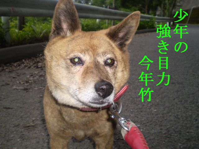 �����R�̂��₶�̂Ԃ₫