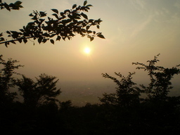 �����R�̂��₶�̂Ԃ₫