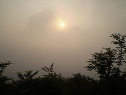 �����R�̂��₶�̂Ԃ₫