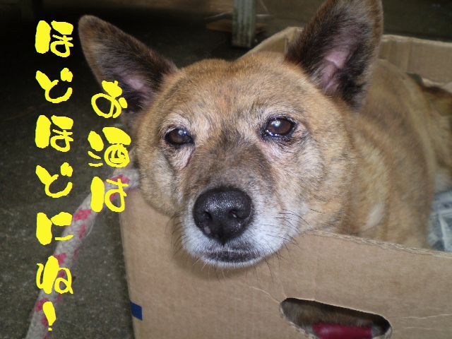 �����R�̂��₶�̂Ԃ₫