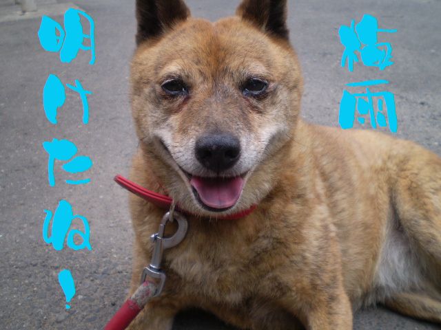 �����R�̂��₶�̂Ԃ₫