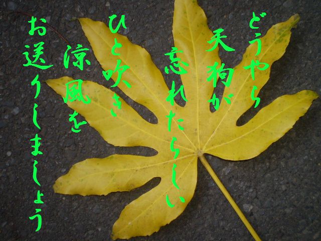 �����R�̂��₶�̂Ԃ₫