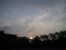 �����R�̂��₶�̂Ԃ₫