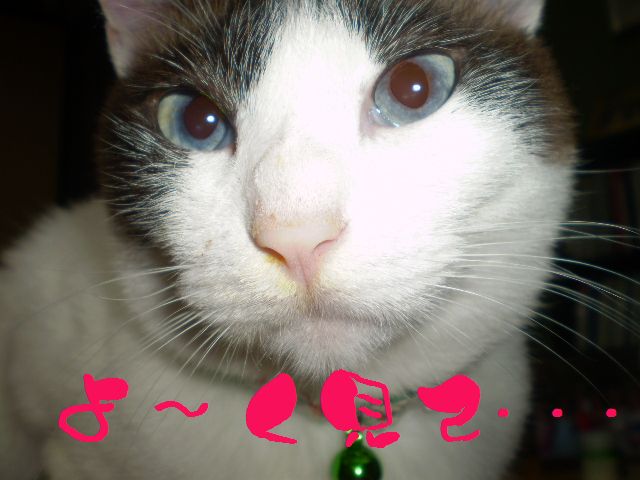 �����R�̂��₶�̂Ԃ₫