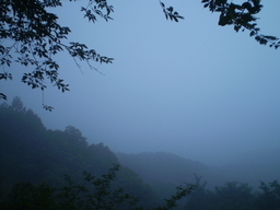 �����R�̂��₶�̂Ԃ₫