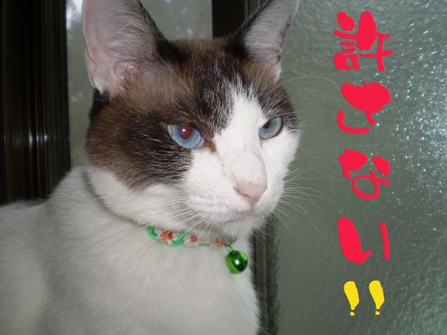 �����R�̂��₶�̂Ԃ₫