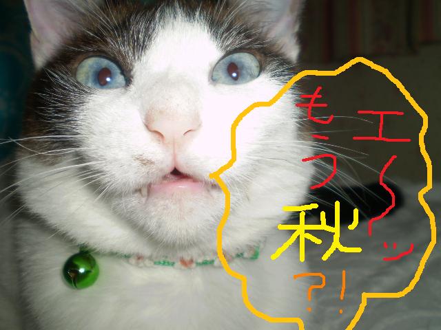 �����R�̂��₶�̂Ԃ₫