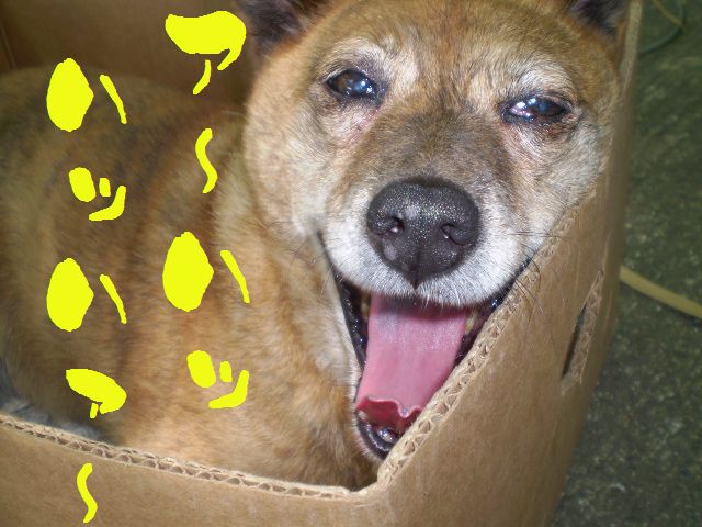 �����R�̂��₶�̂Ԃ₫