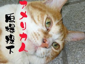 �����R�̂��₶�̂Ԃ₫