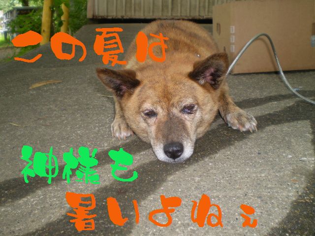 �����R�̂��₶�̂Ԃ₫