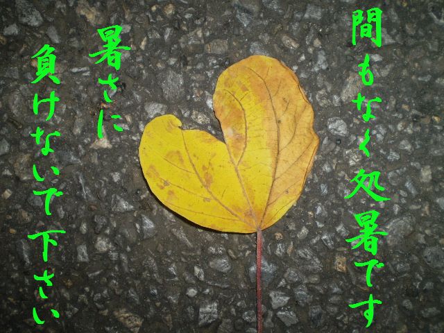 �����R�̂��₶�̂Ԃ₫