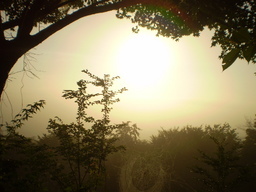 �����R�̂��₶�̂Ԃ₫