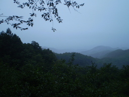 �����R�̂��₶�̂Ԃ₫