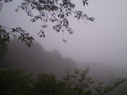 �����R�̂��₶�̂Ԃ₫