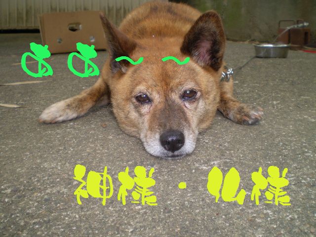 �����R�̂��₶�̂Ԃ₫