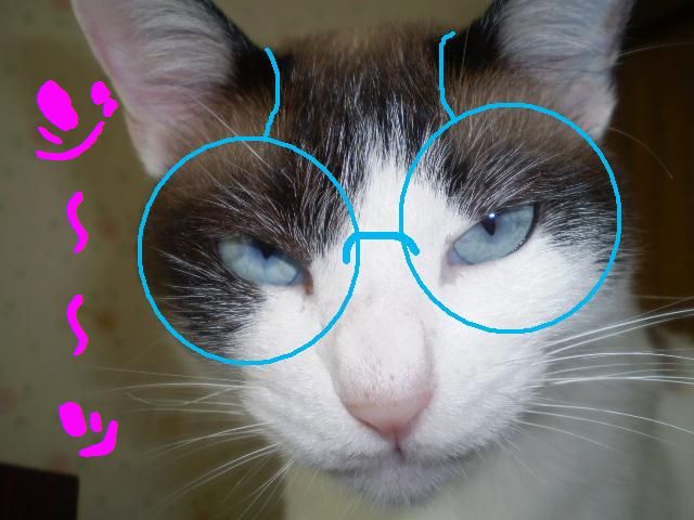 �����R�̂��₶�̂Ԃ₫