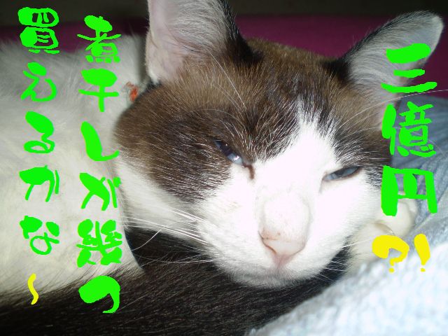 �����R�̂��₶�̂Ԃ₫