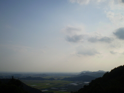 �����R�̂��₶�̂Ԃ₫