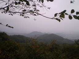 �����R�̂��₶�̂Ԃ₫